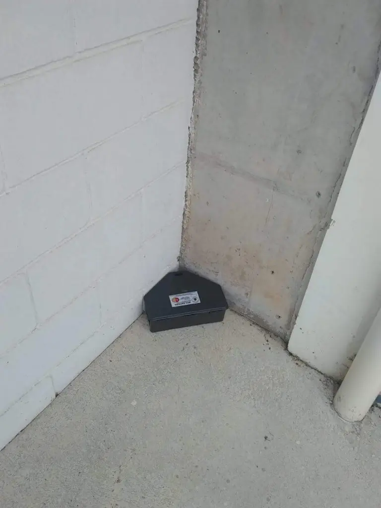 Porta-iscas instalado para desratização