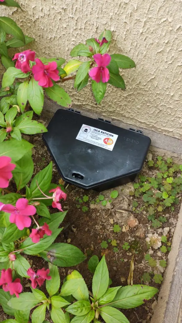 Porta-iscas de desratização entre plantas